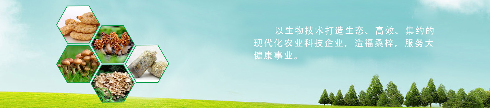 濟(jì)寧正邦表面處理劑有限公司